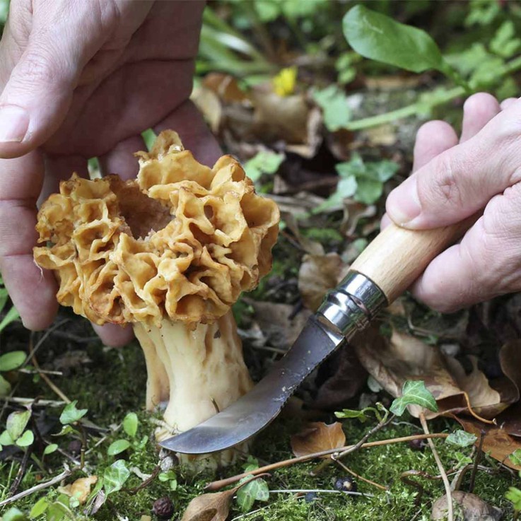Couteau à champignon Opinel - 8 cm