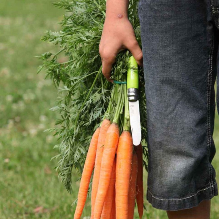 Mon premier couteau Opinel vert pomme n°07