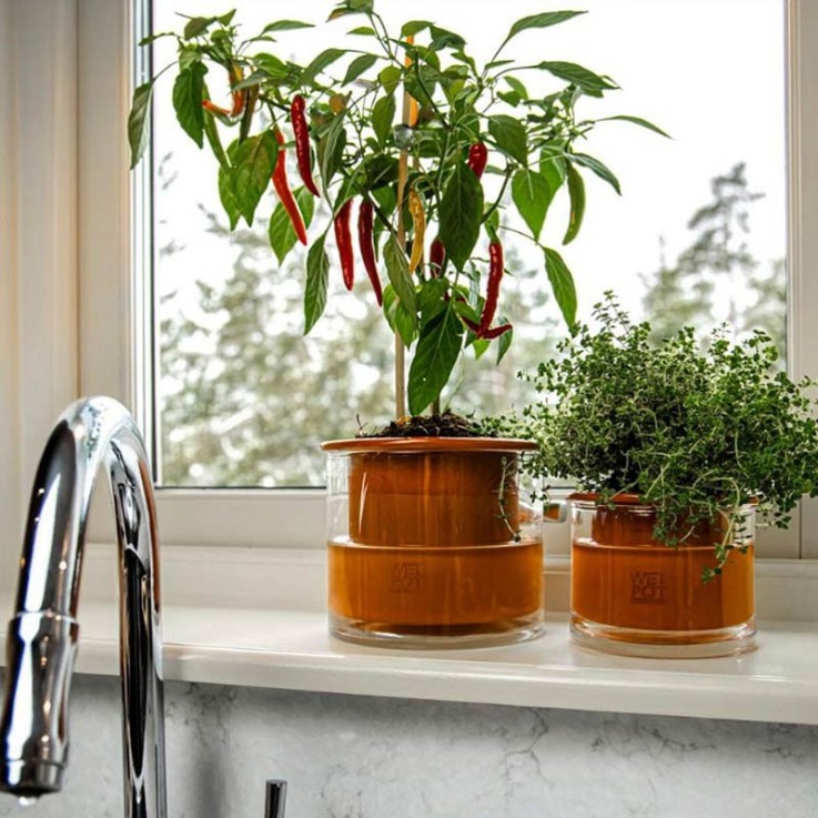 Pot autonome Wet Pot M en terre cuite