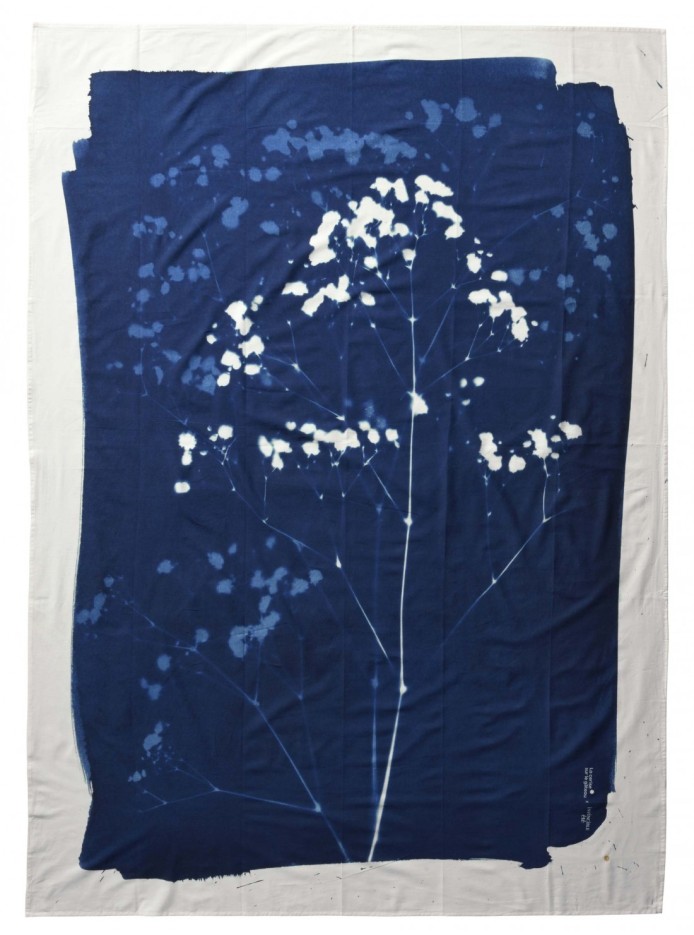 Paréo Cyanotype Coton Bio