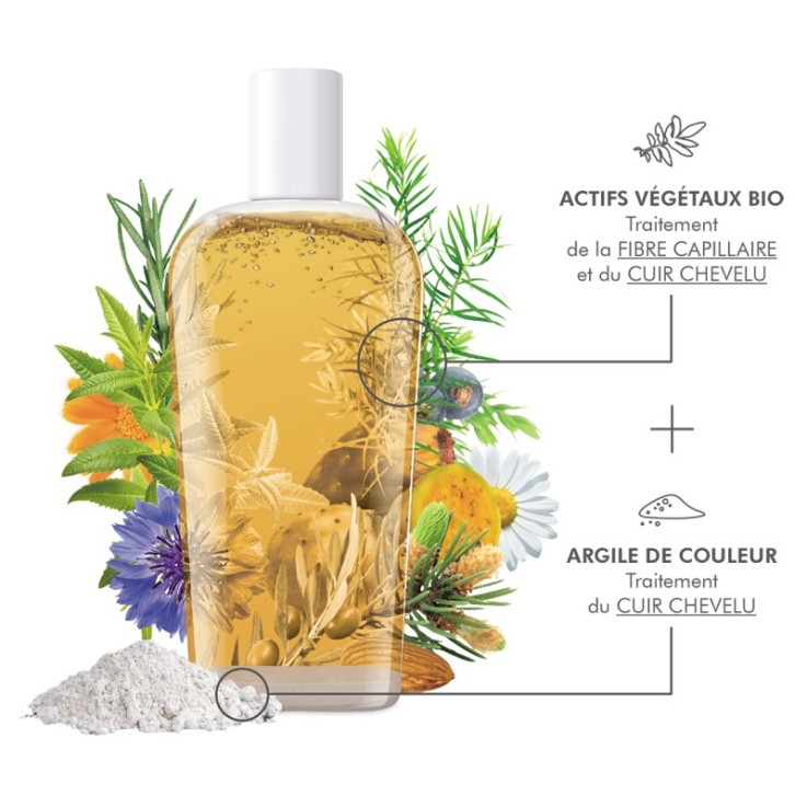 Shampoing Purifiant Détox (250ml) Bio