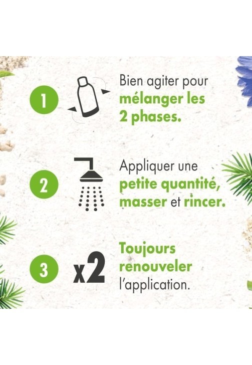 Shampoing Purifiant Détox (250ml) Bio