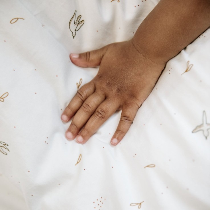 Drap housse Coton Bio L'envolée 1 personne