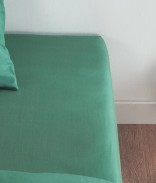 Eucalyptus