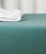 Eucalyptus