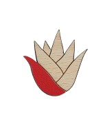 Broche Aloe rouge en bois