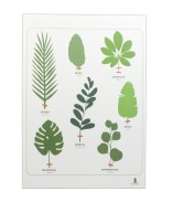 Affiche A4 imprimée sur papier texturé 250g Herbier Tropical