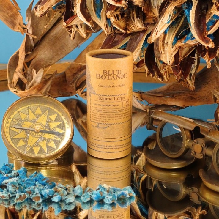 Le Baume Corps Solide (70ml) Bio
