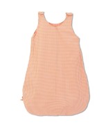 Vichy