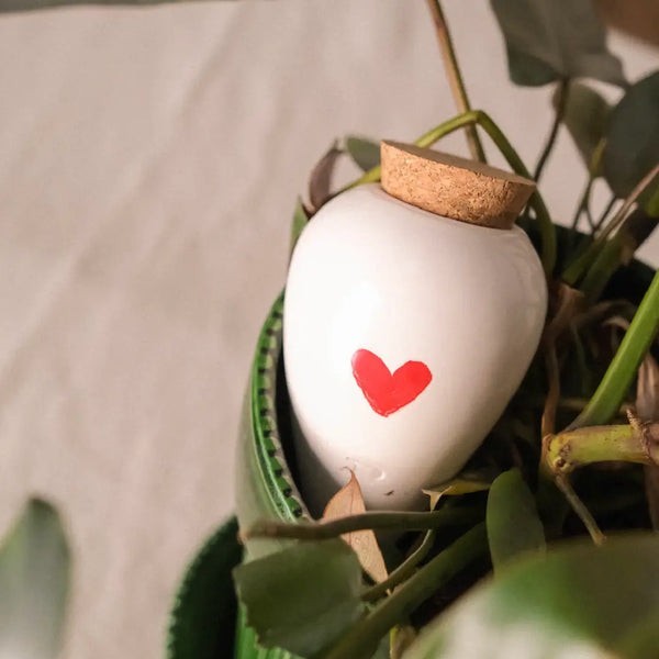 Olla Diffuseur d'eau naturel pour plantes