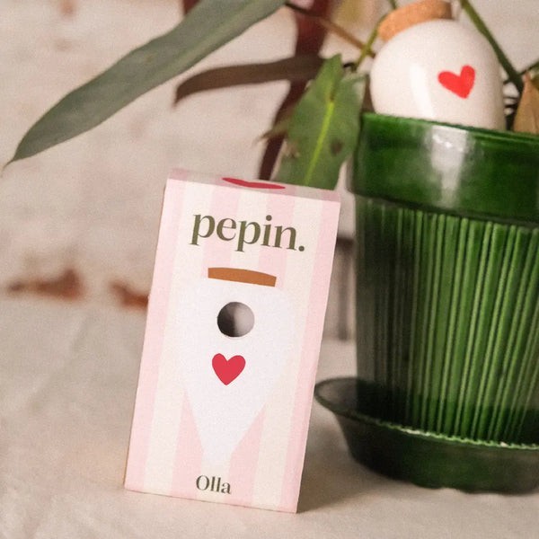 Olla Diffuseur d'eau naturel pour plantes