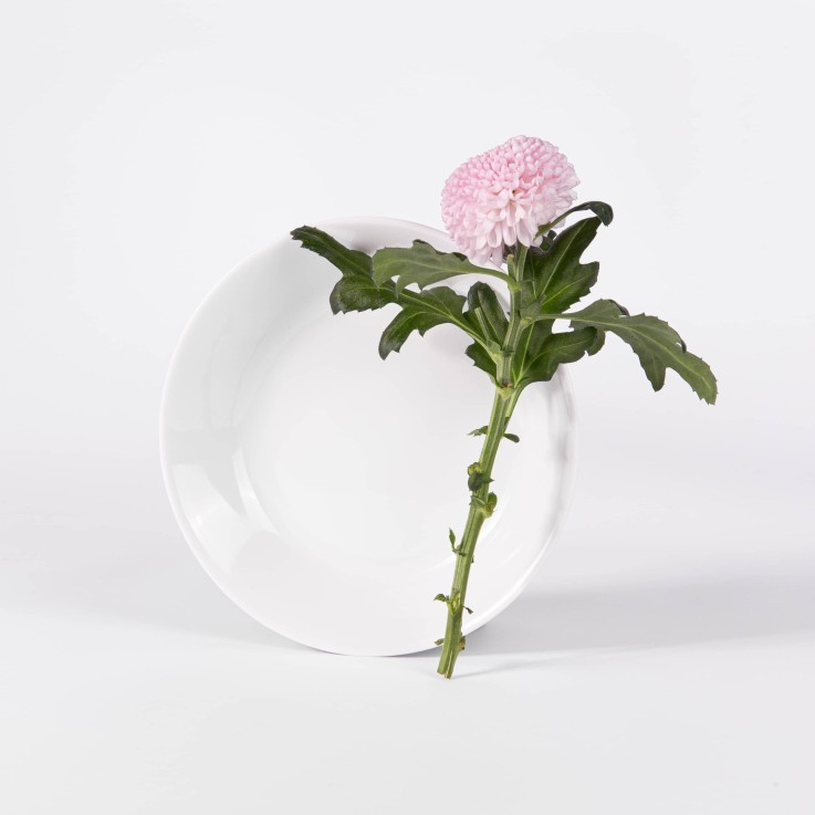 Assiette creuse ronde en porcelaine (19 cm)