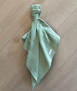 Vert Sauge
