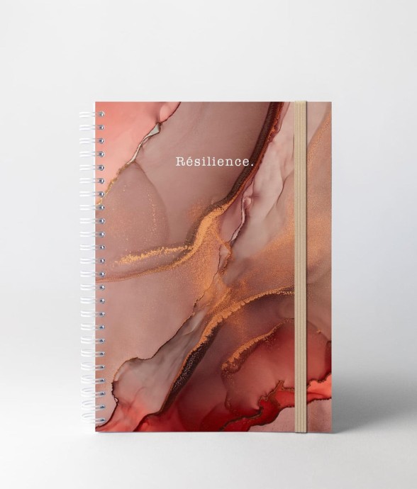 Carnet de Notes Resilience...