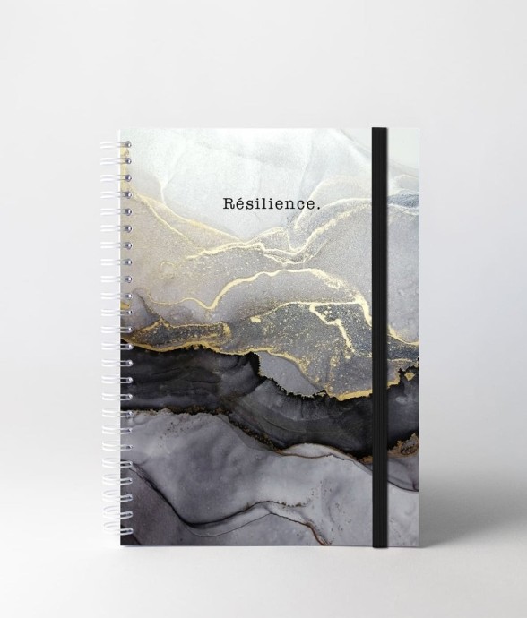 Carnet de Notes Resilience...