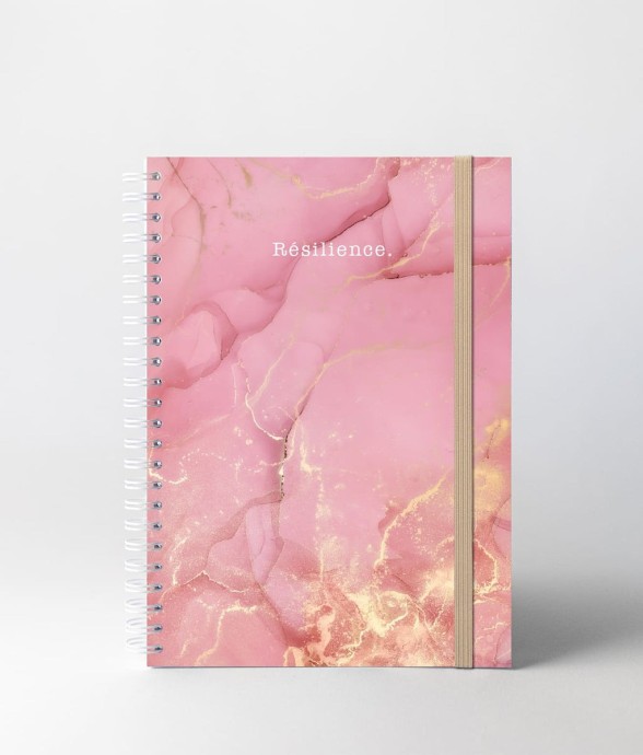 Carnet de Notes Resilience...