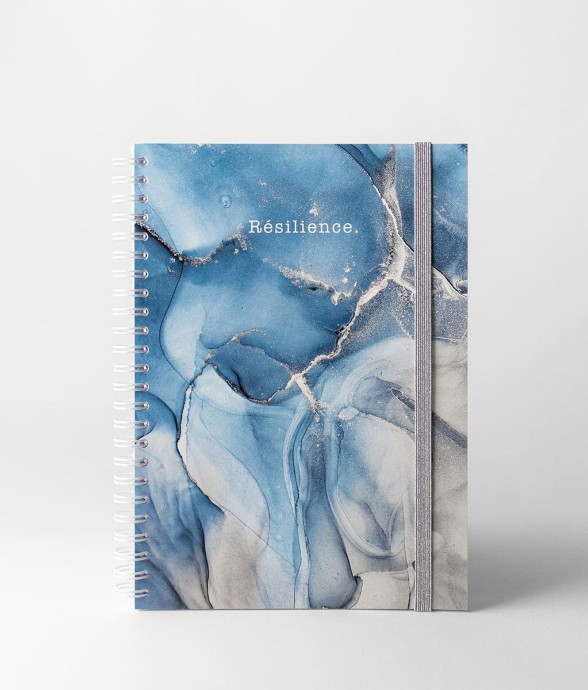 Carnet de Notes Resilience Sea