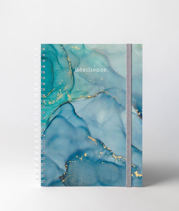 Carnet de Notes Resilience...