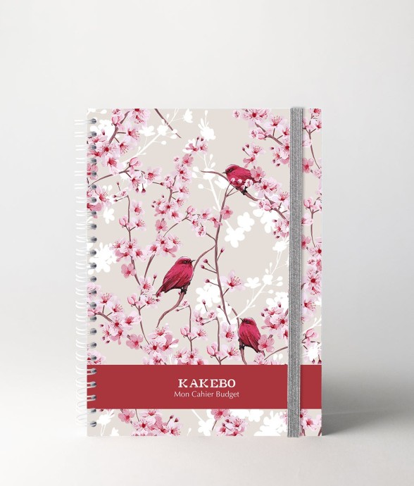 Carnet de Budget Kakebo...