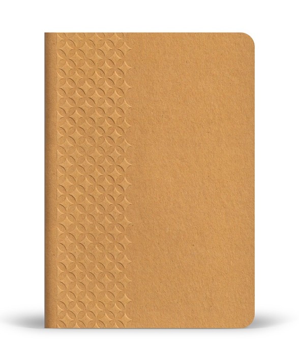 Le cahier A5 pointillé 100%...