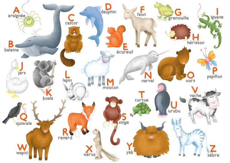 Puzzle en bois 12 pièces l'Alphabet des animaux