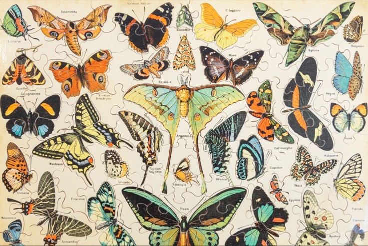Puzzle en bois 100 pièces Papillons