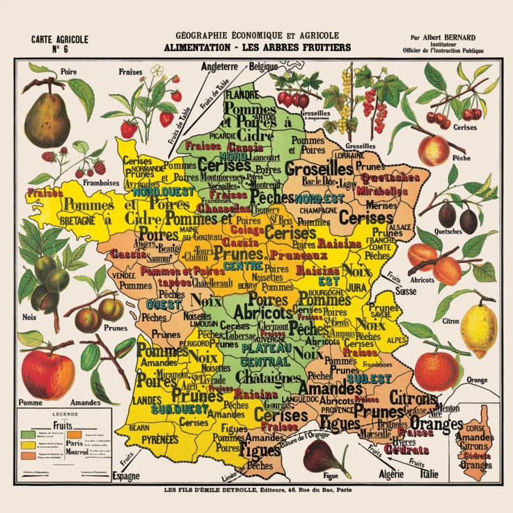 Puzzle en bois 100 pièces Carte de France des fruits