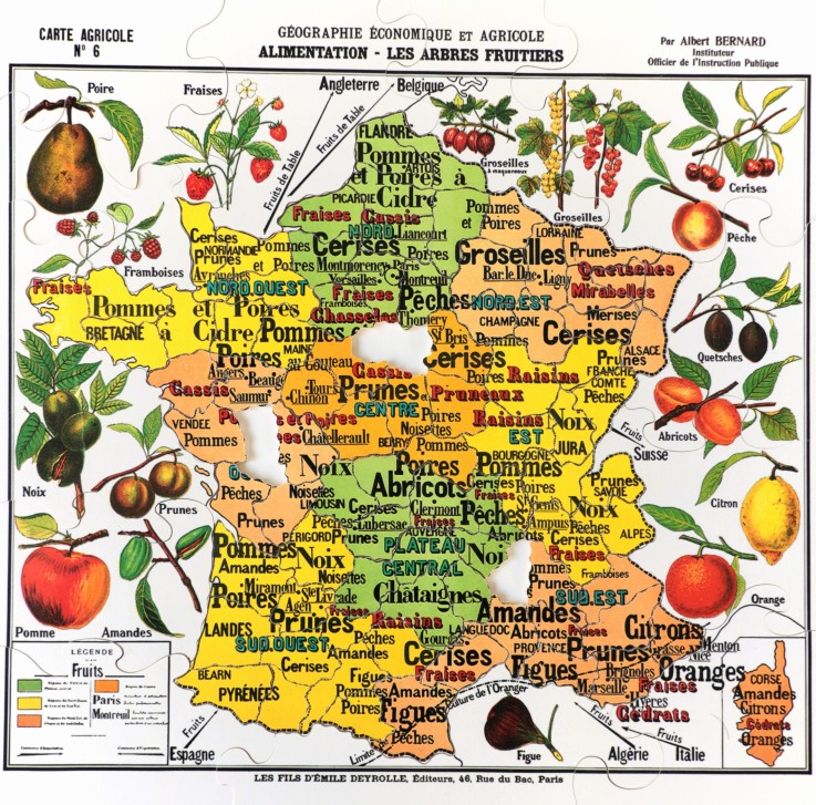 Puzzle en bois 100 pièces Carte de France des fruits