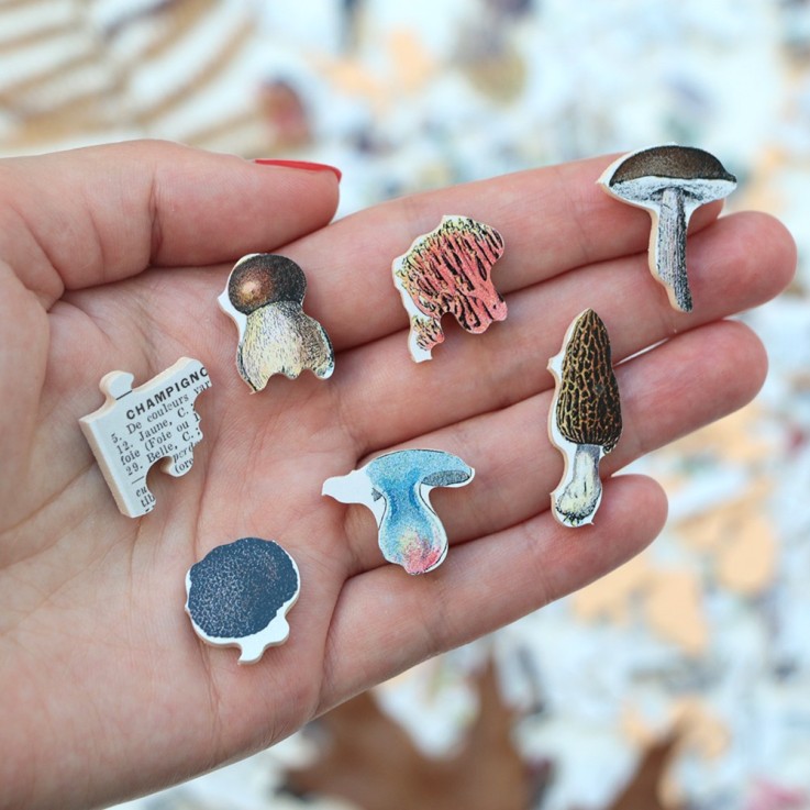 Puzzle en bois 250 pièces Les champignons
