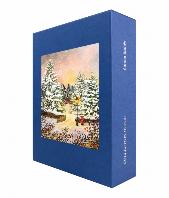 Puzzle en bois 300 pièces...