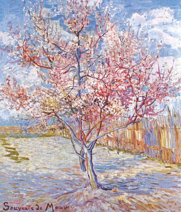 SOUVENIR DE MAUVE