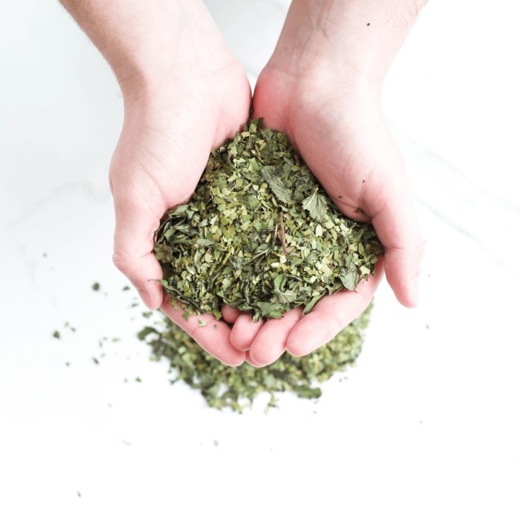 Infusion de maté Bio - Menthe poivrée (70g)