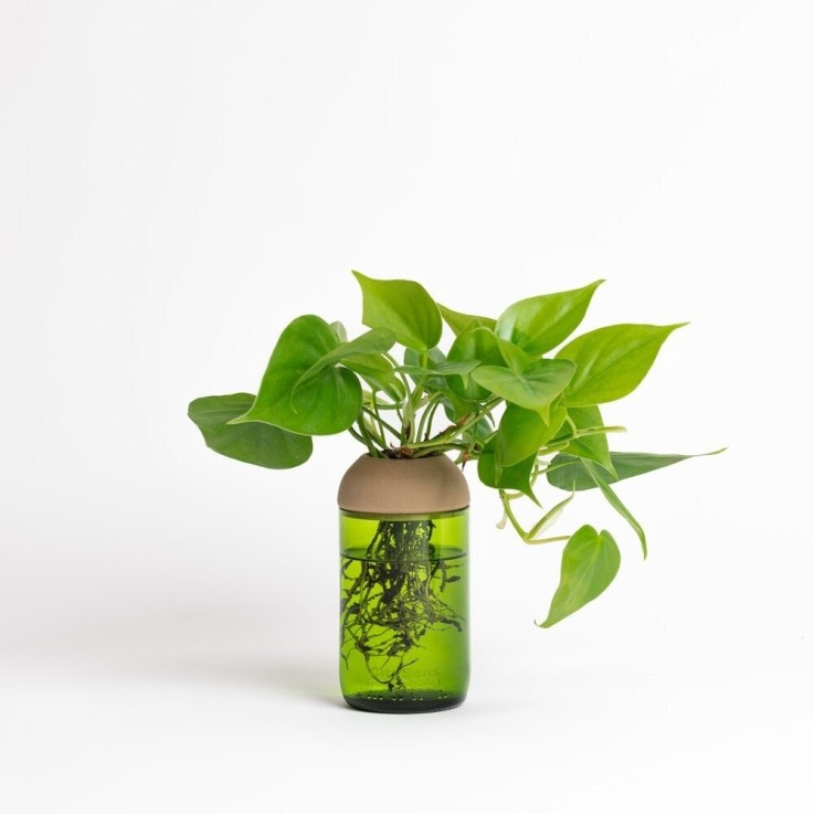 Pot transparent noir