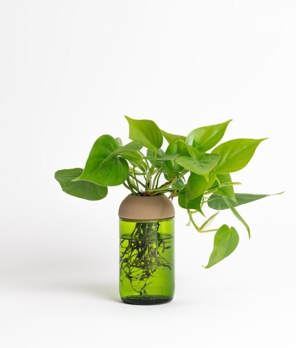 Pot transparent noir