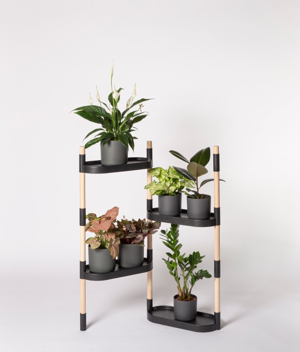 Étagère pour plantes à 4...