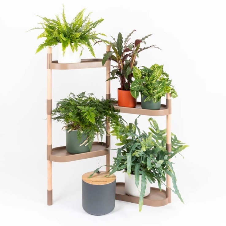 Étagère pour plantes à 4 plateaux - arrosage auto