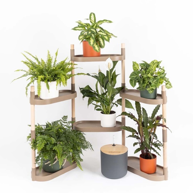 Étagère pour plantes à 6 plateaux - arrosage auto