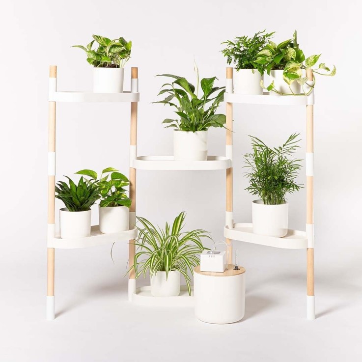 Étagère pour plantes à 6 plateaux - arrosage auto