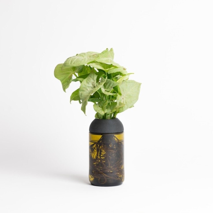 Pot transparent noir