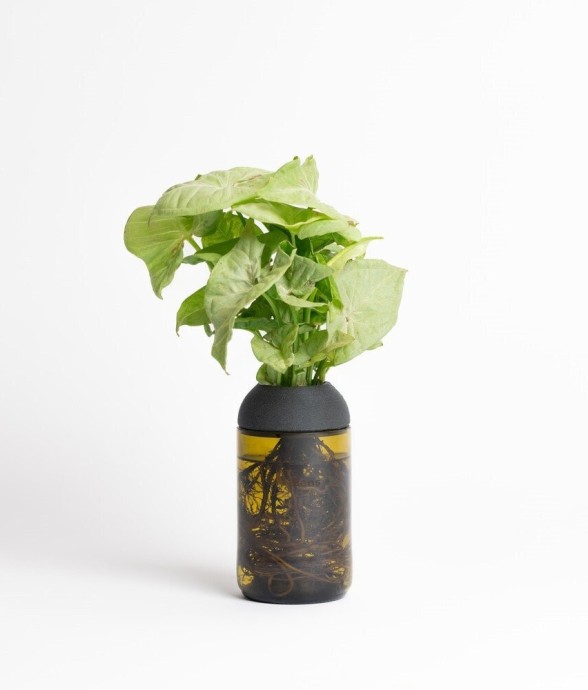 Pot transparent noir