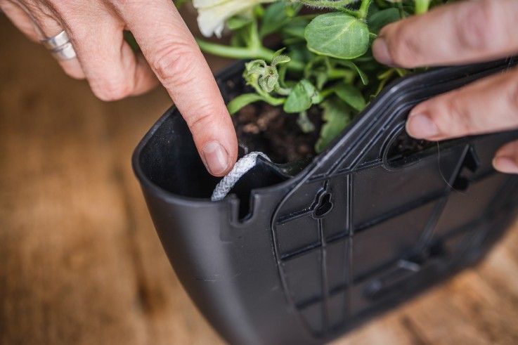 Pots muraux - arrosage auto