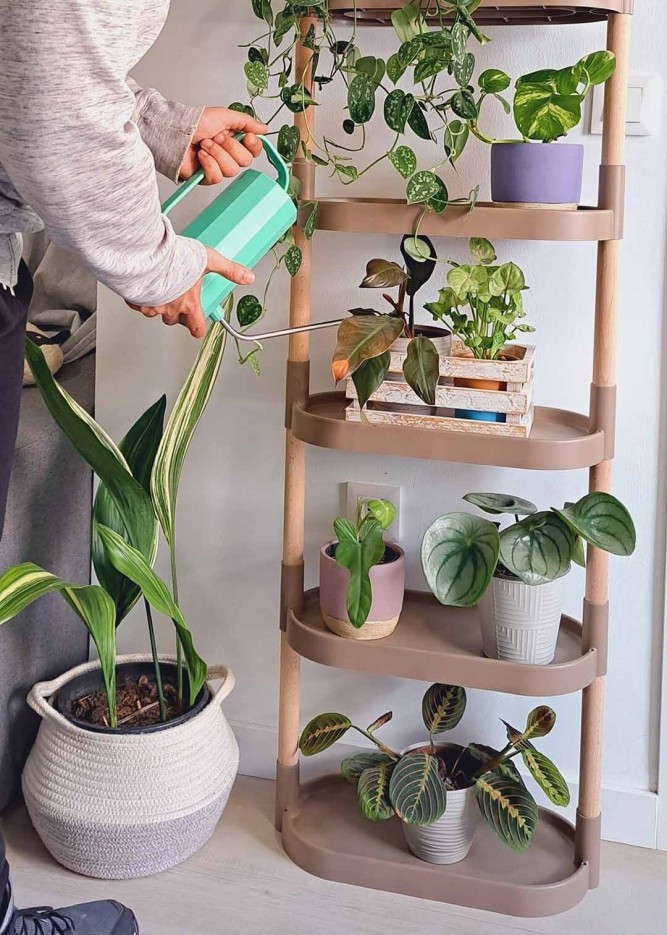 Étagère pour plantes à 6 plateaux