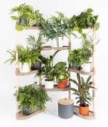 Ecorce De Pin
