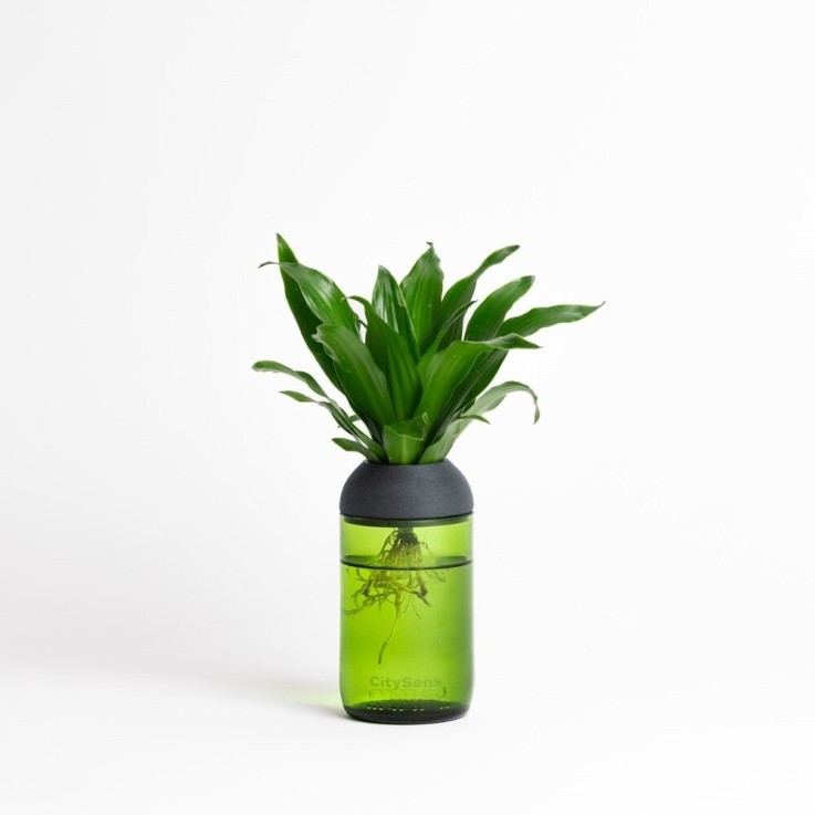 Pot transparent noir