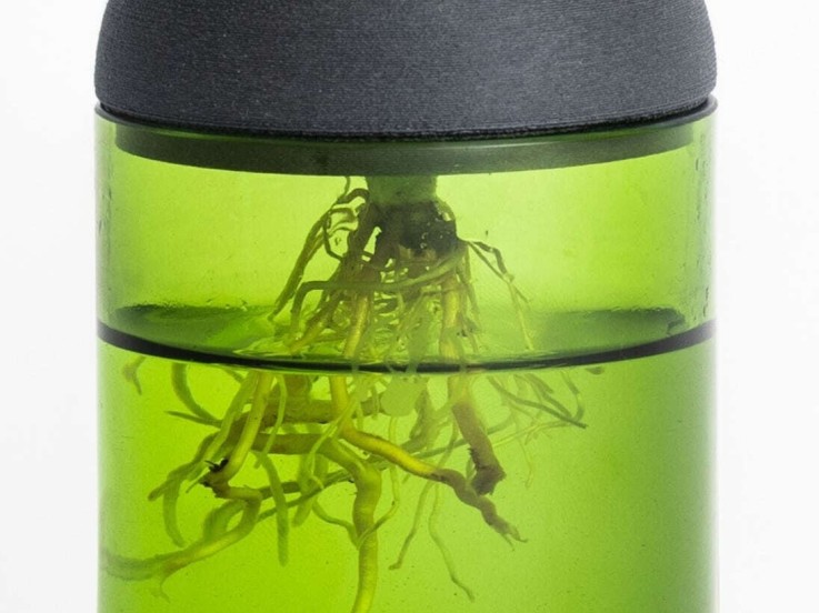 Pot transparent noir