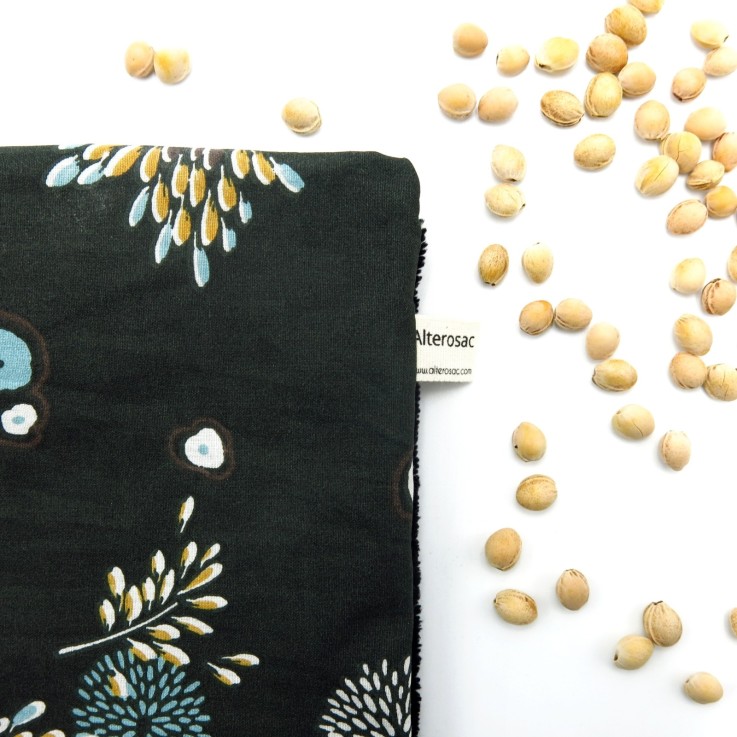 Bouillotte aux noyaux de cerises
