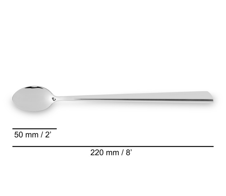 Cuillère à Glace Série Toscana Acier inoxydable (inox) 22 cm