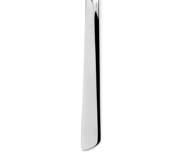 Cuillère à Glace Série Toscana Acier inoxydable (inox) 22 cm