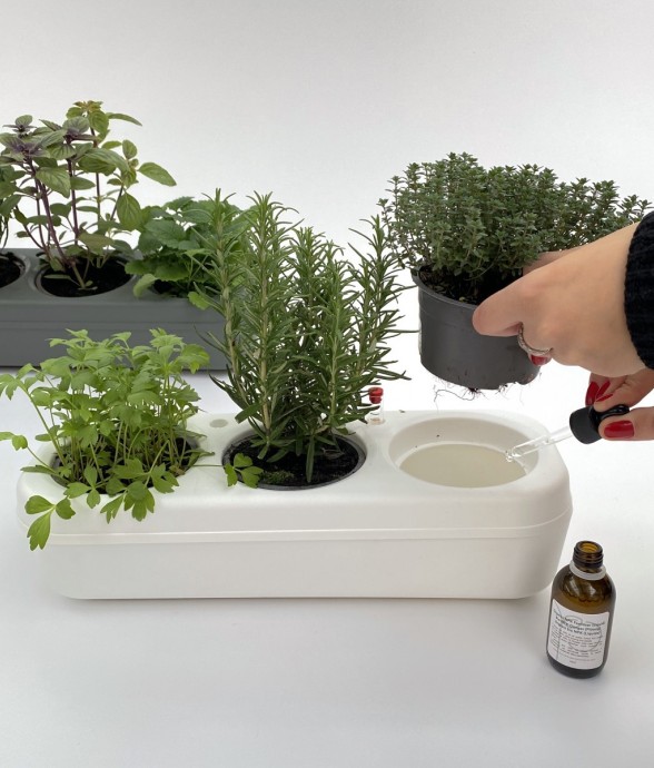 Kit potager d'intérieur -...