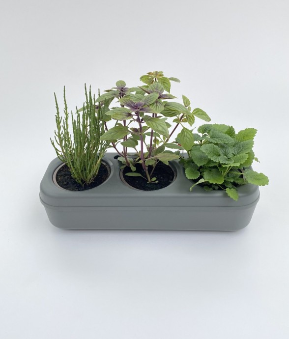 Kit potager d'intérieur -...